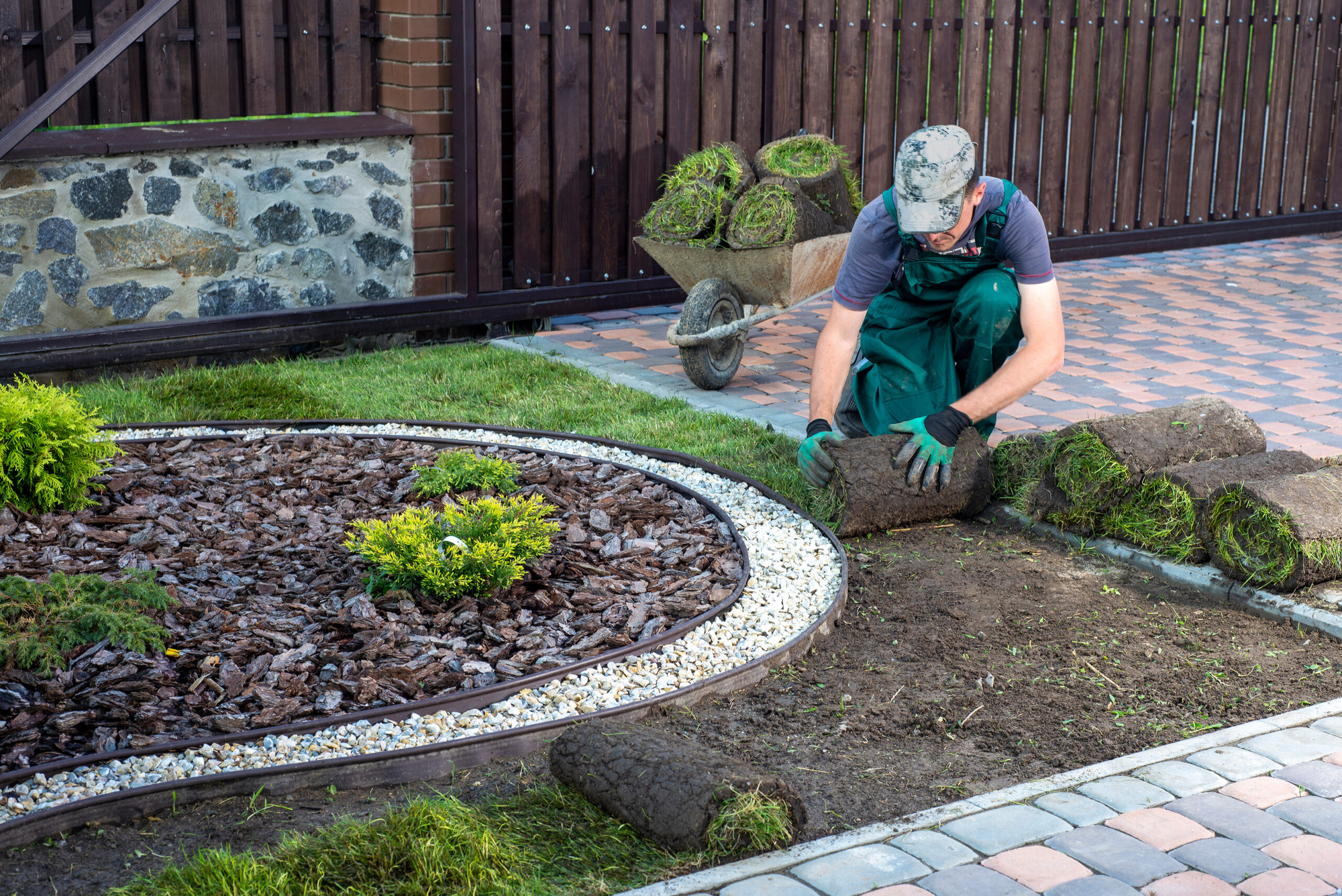Man laying grass turf rolls for new garden lawn