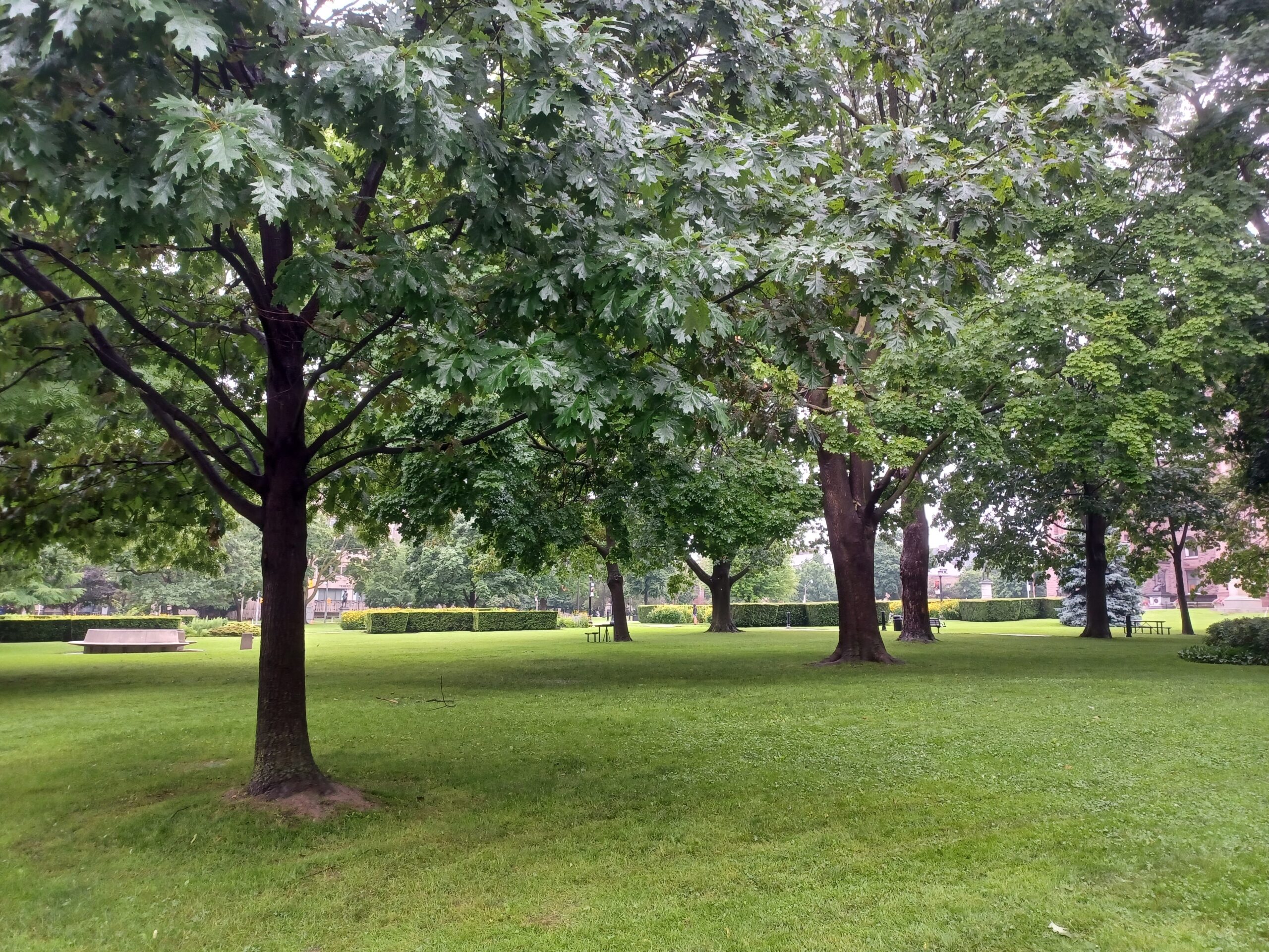 Green city park sunny afternoon